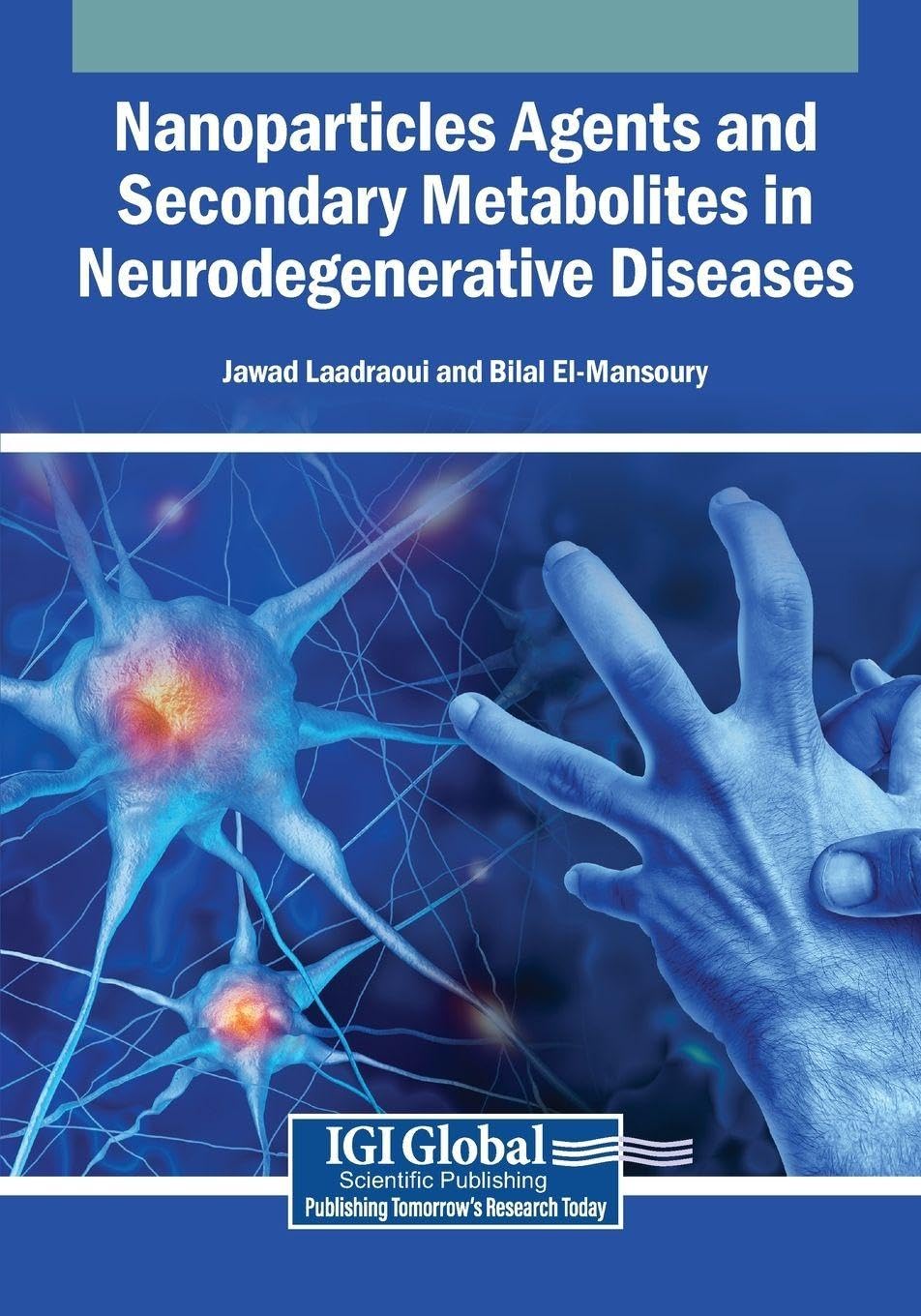 Nanoparticles Agents and Secondary Metabolites in Neurodegenerative Diseases Medicine