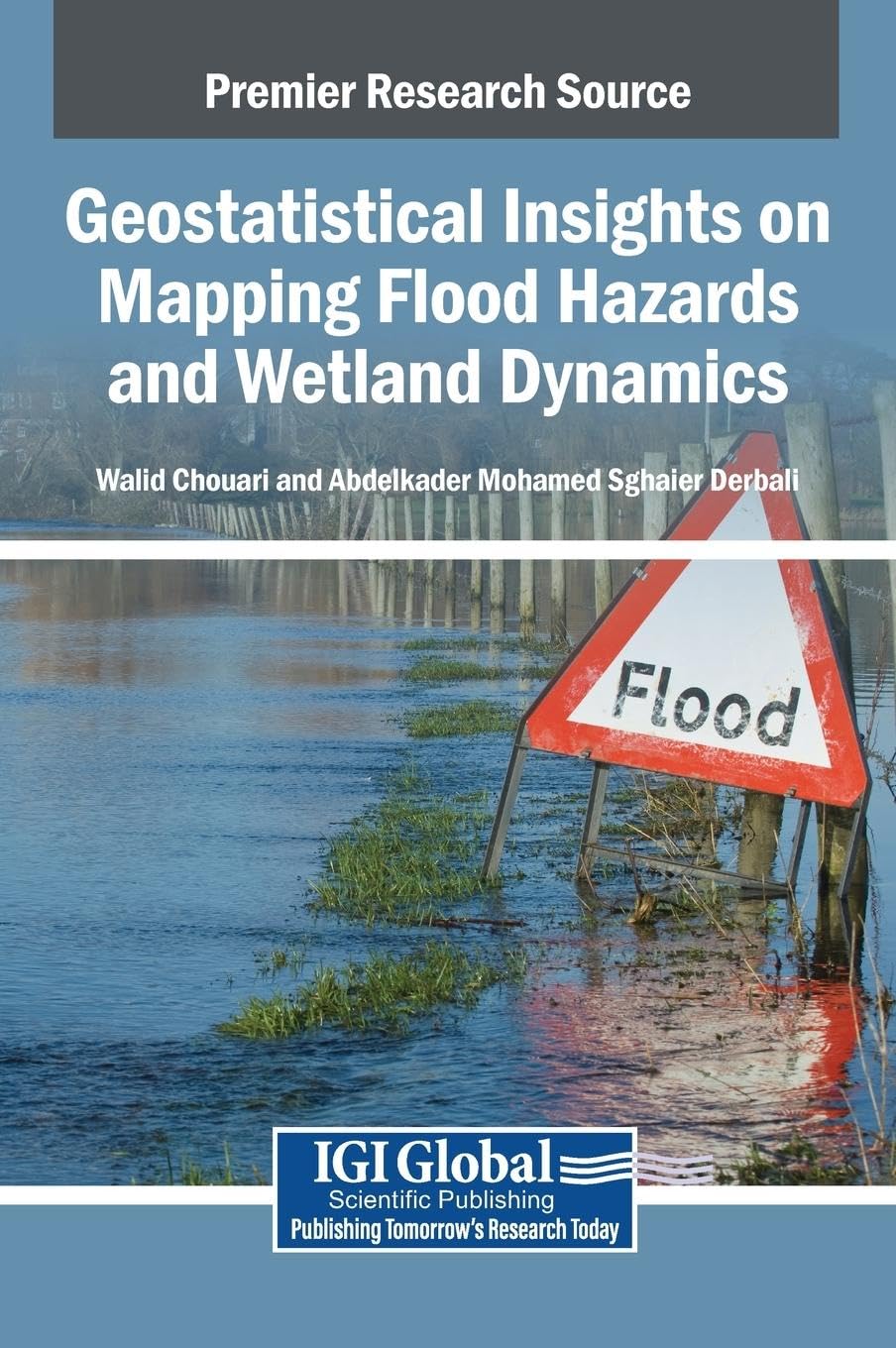 Geostatistical Insights on Mapping Flood Hazards and Wetland Dynamics Geology & Geography