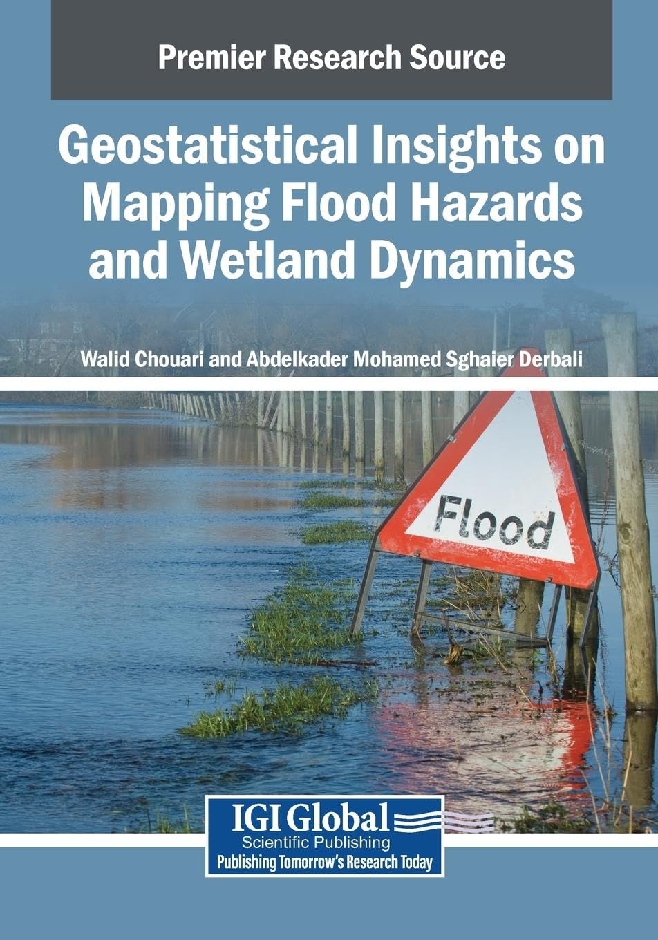 Geostatistical Insights on Mapping Flood Hazards and Wetland Dynamics Geology & Geography