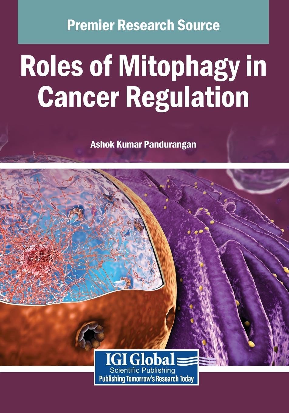 Roles of Mitophagy in Cancer Regulation Medicine