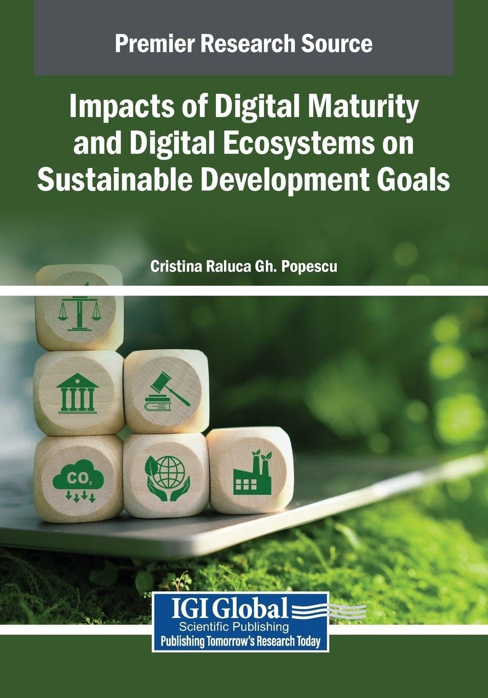 Impacts of Digital Maturity and Digital Ecosystems on Sustainable Development Goals Law