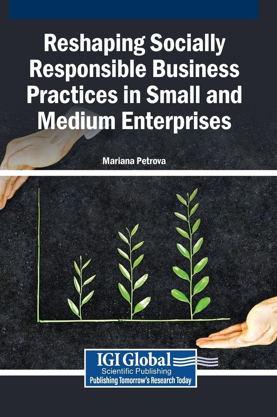 Reshaping Socially Responsible Business Practices in Small and Medium Enterprises Law