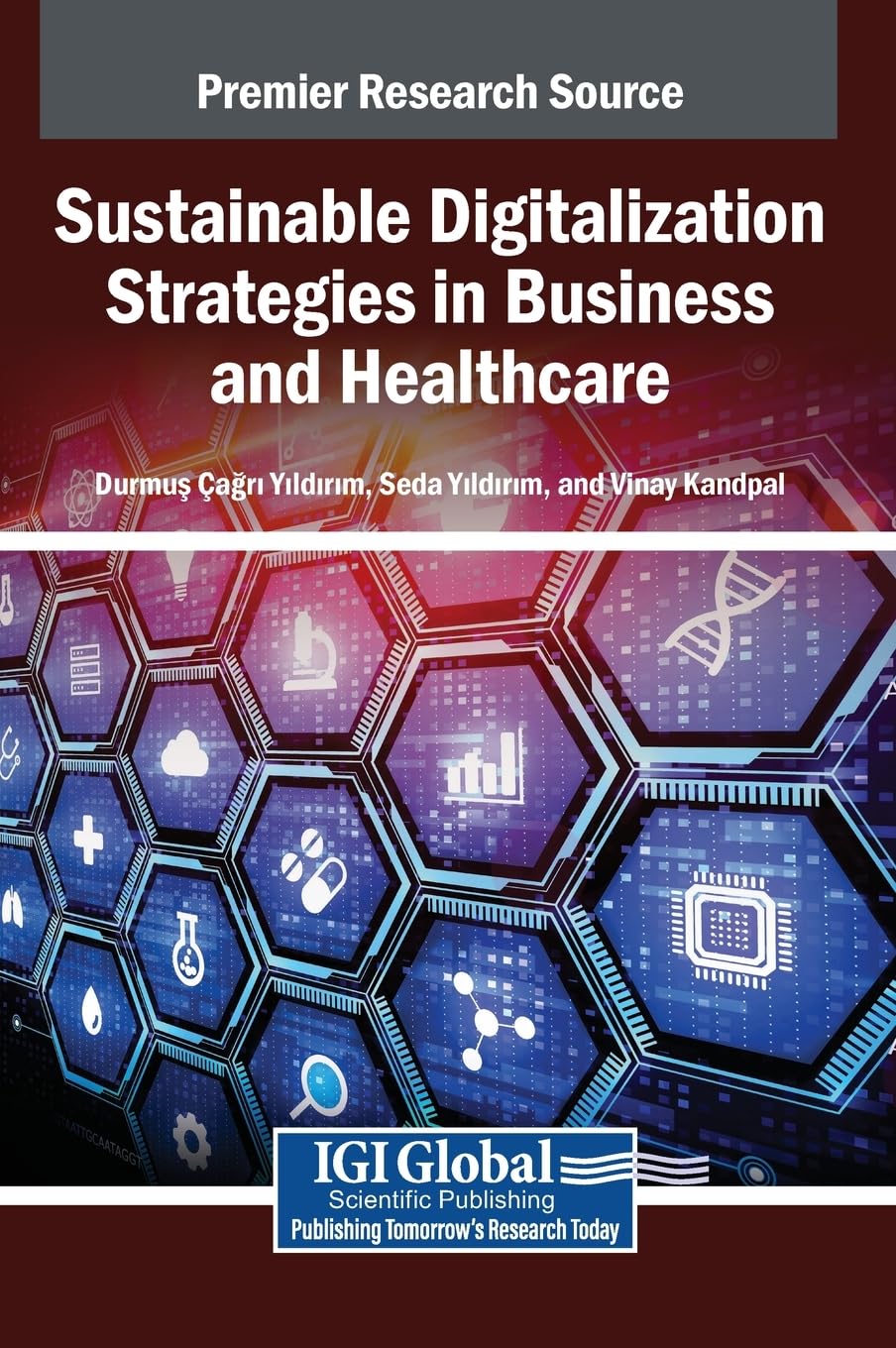 Sustainable Digitalization Strategies in Business and Healthcare Medicine