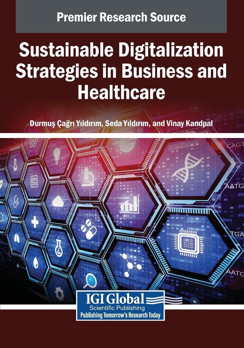 Sustainable Digitalization Strategies in Business and Healthcare Medicine