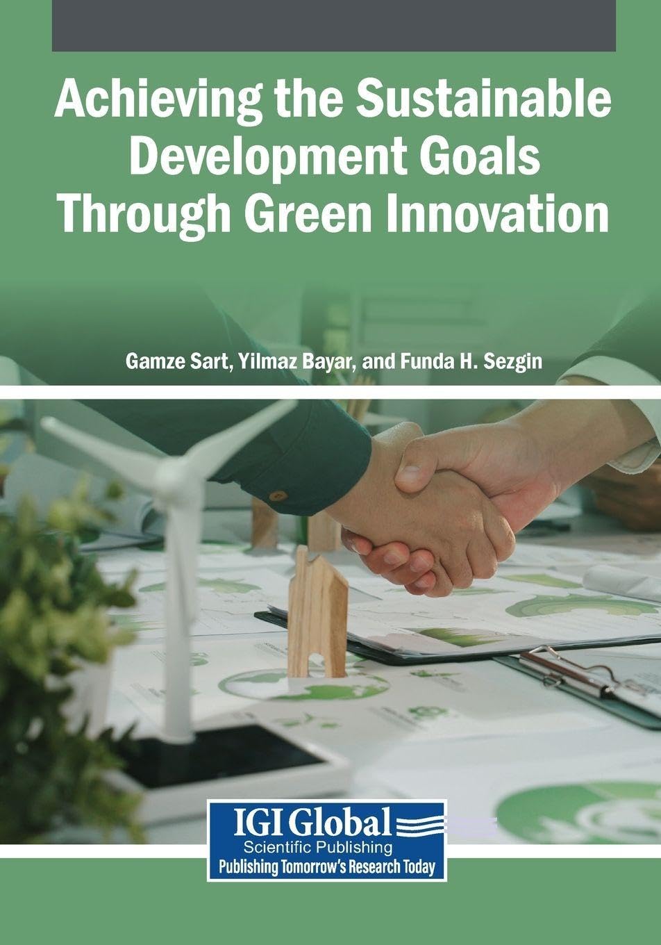 Achieving the Sustainable Development Goals Through Green Innovation Law