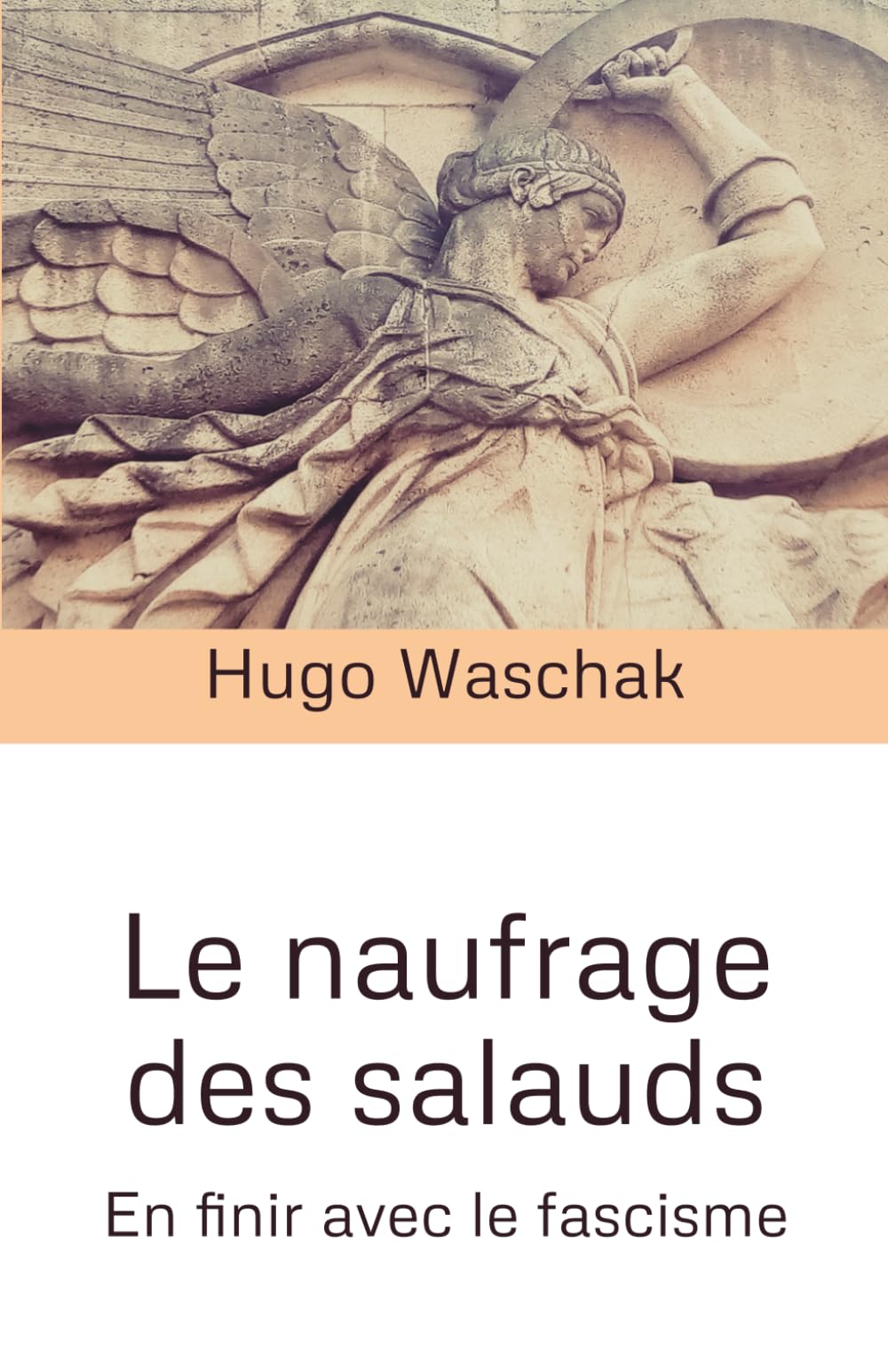 Le naufrage des salauds: En finir avec le fascisme book