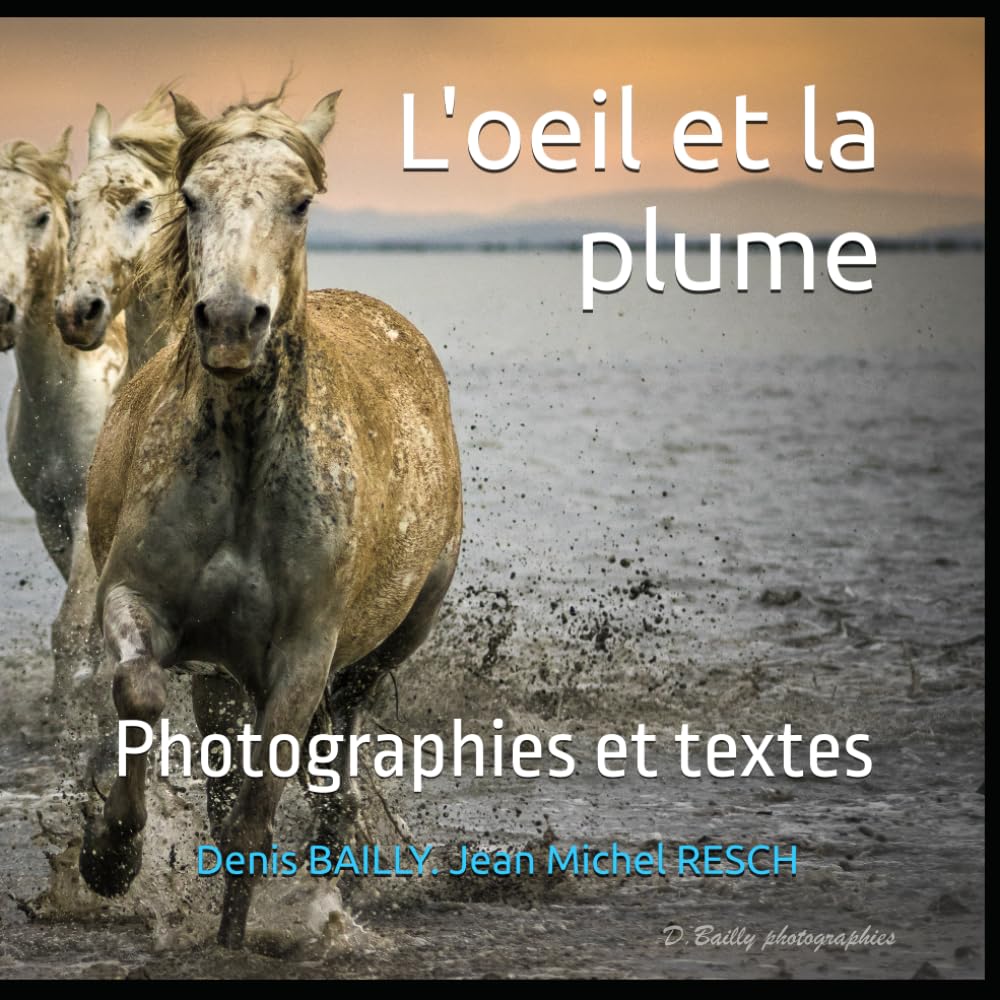 L'oeil et la plume: Photographies et textes book