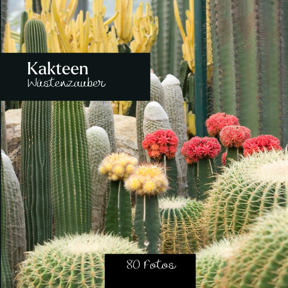 Kakteen : Wüstenzauber: 80 fotos Nature & Animals