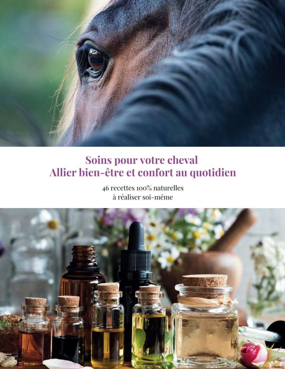 Soins pour votre cheval: Allier bien-être et confort au quotidien book
