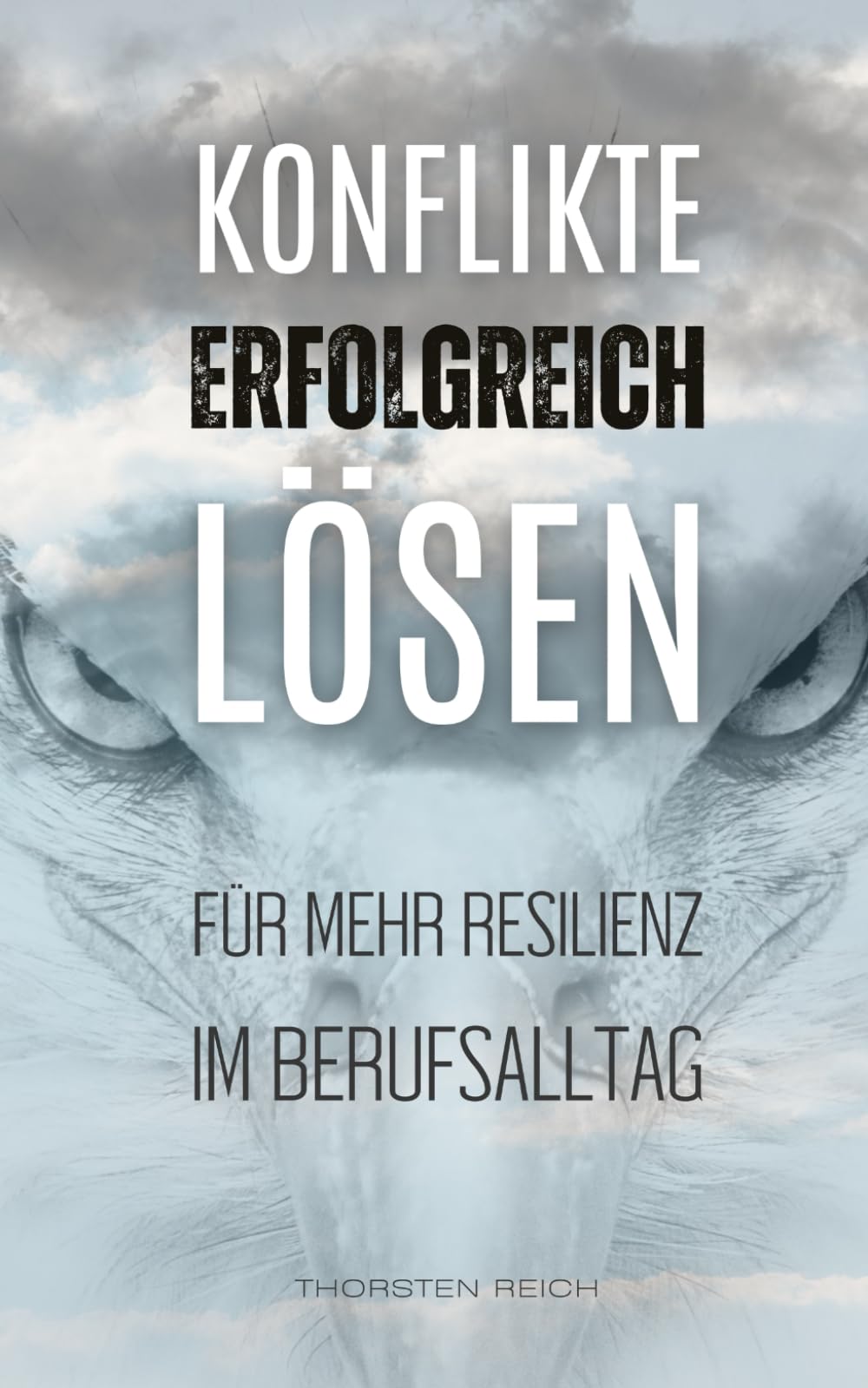 Konflikte erfolgreich lösen: Für mehr Resilienz im Berufsalltag book