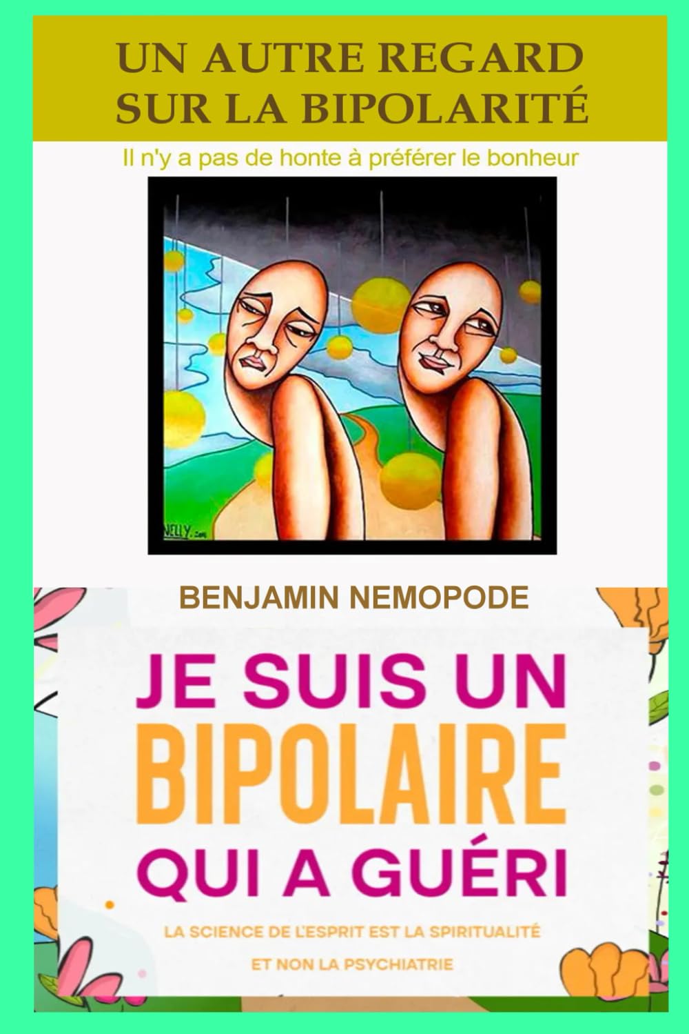 Un Autre Regard sur la Bipolarité - Intégrale: Je suis un bipolaire qui a guéri book