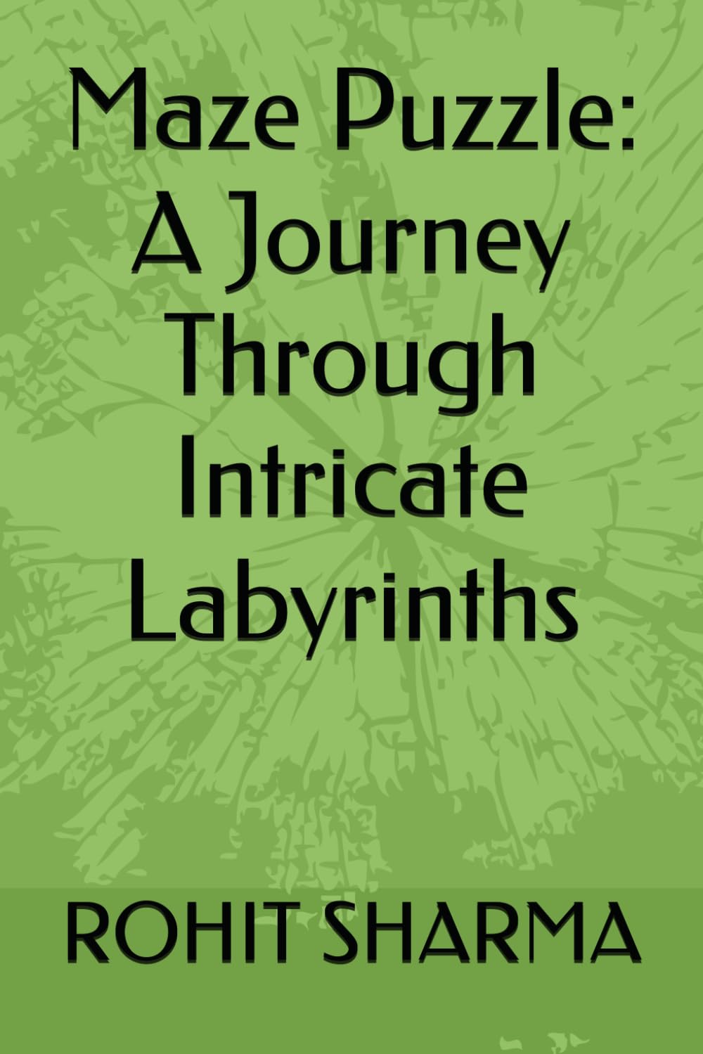 Maze Puzzle: A Journey Through Intricate Labyrinths book