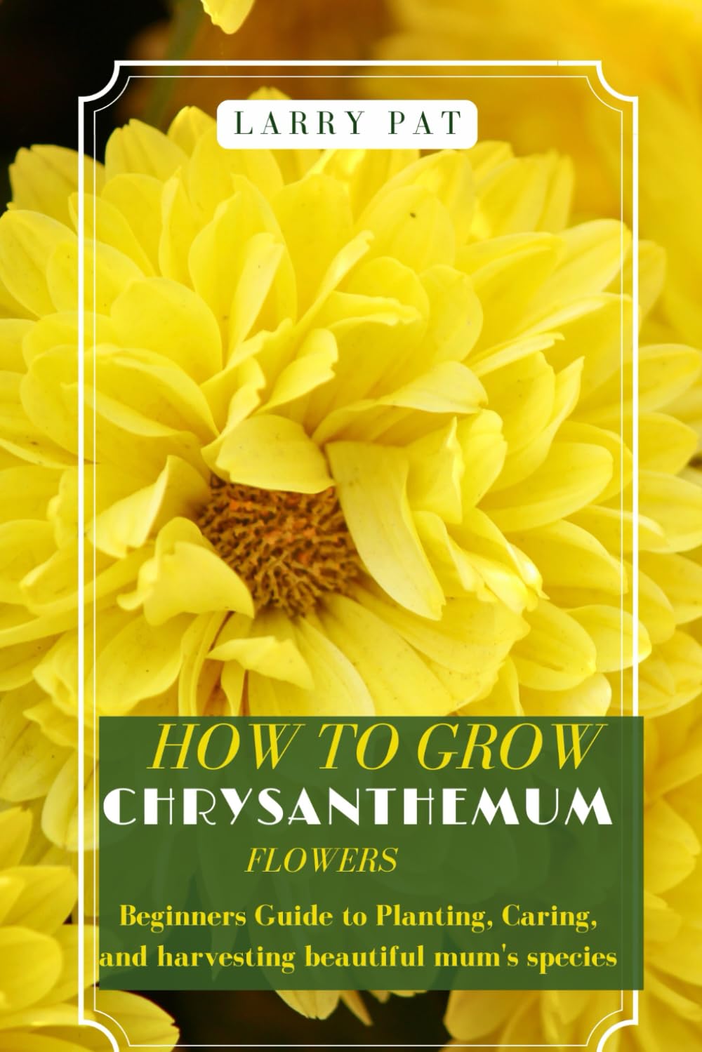 HOW TO GROW CHRYSANTHEMUM FLOWERS: Beginners guide to planting, caring and harvesting beautiful mum's species Garden & Plants