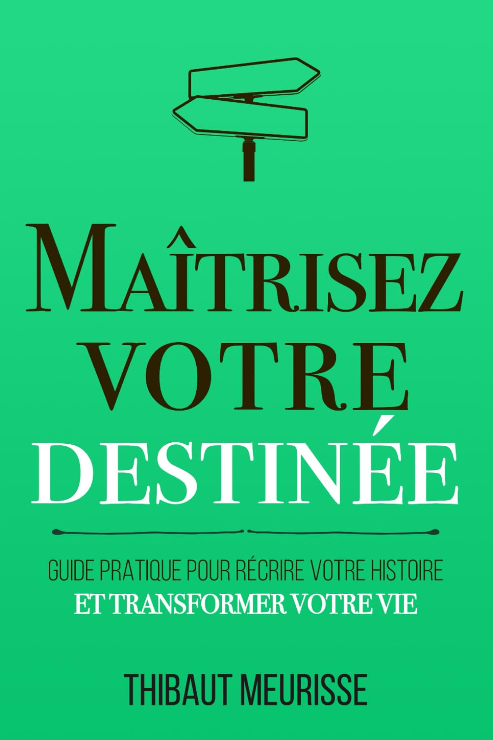 Maîtrisez votre destinée: Guide pratique pour récrire votre histoire et transformer votre vie book