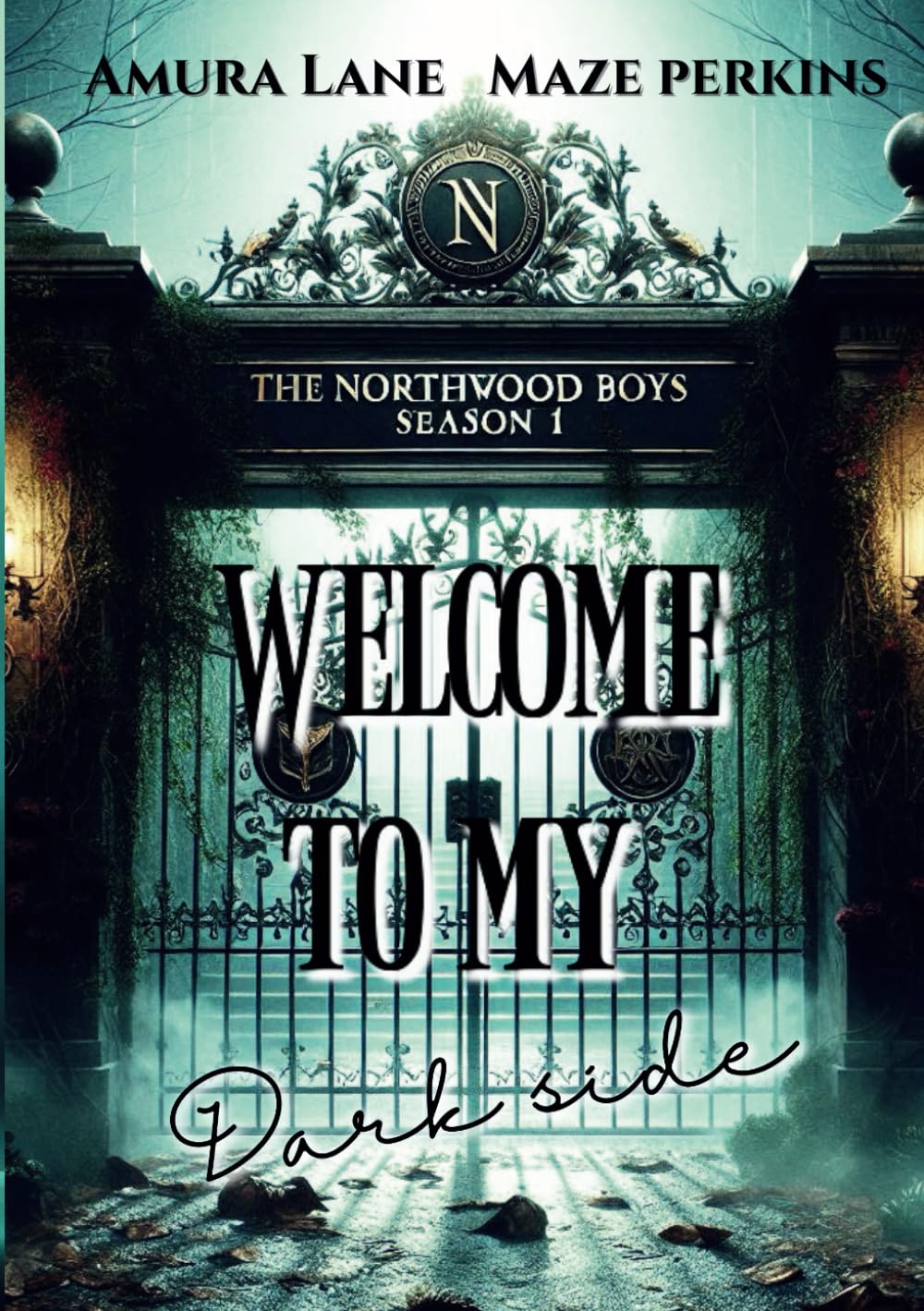 The Northwood Boys season 1.: Welcome To My Dark Side book