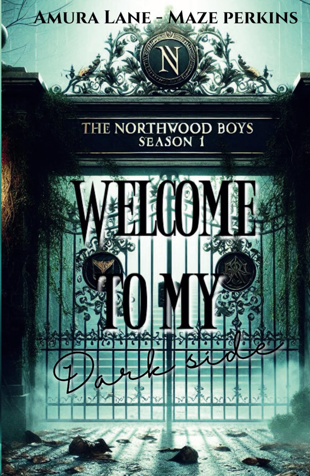 The Northwood Boys season 1.: Welcome To My Dark Side book
