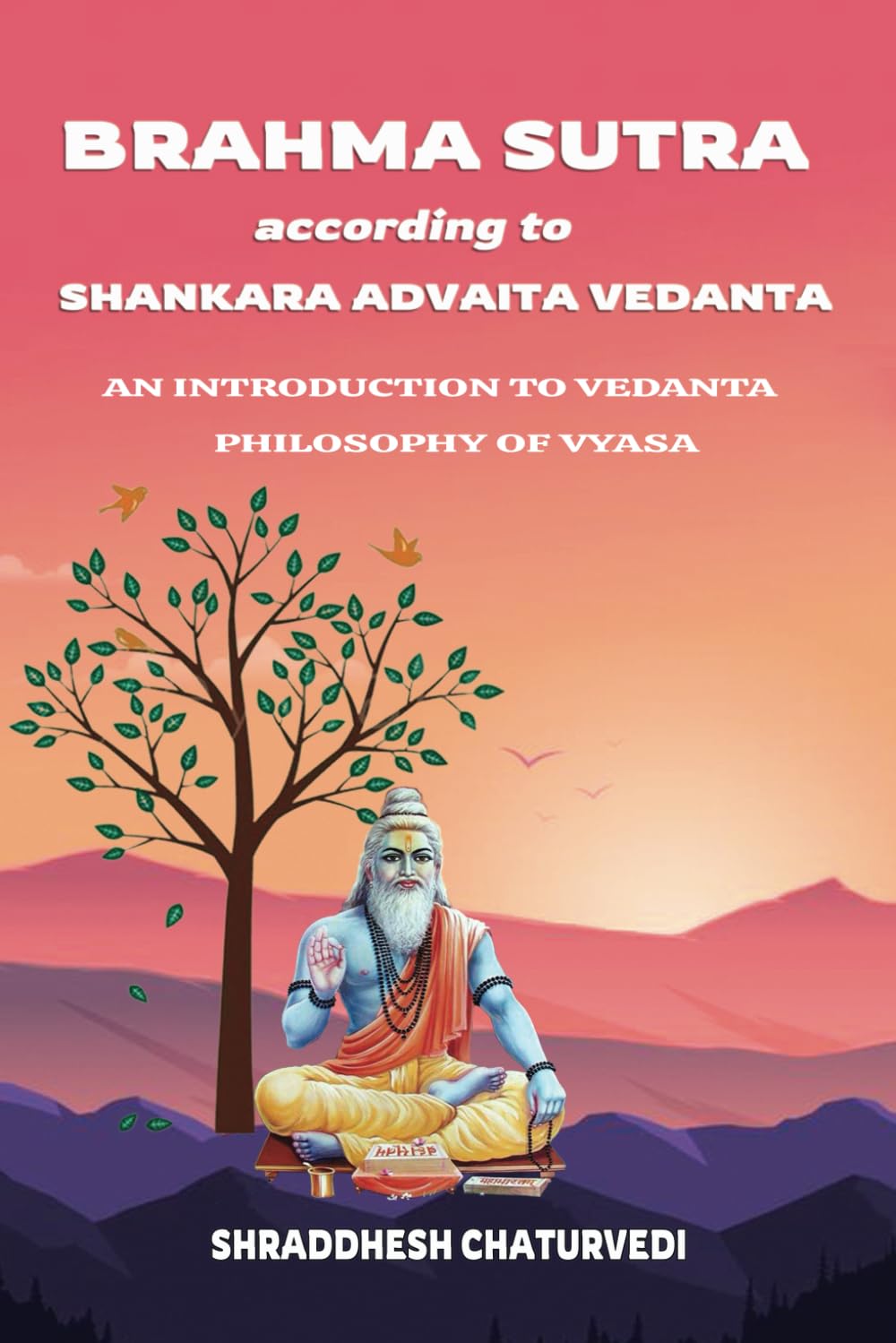 BRAHMA SUTRA ACCORDING TO SHANKARA ADVAITA VEDANTA: An Introduction to Vedanta Philosophy of Vyasa Religion & Esotericism