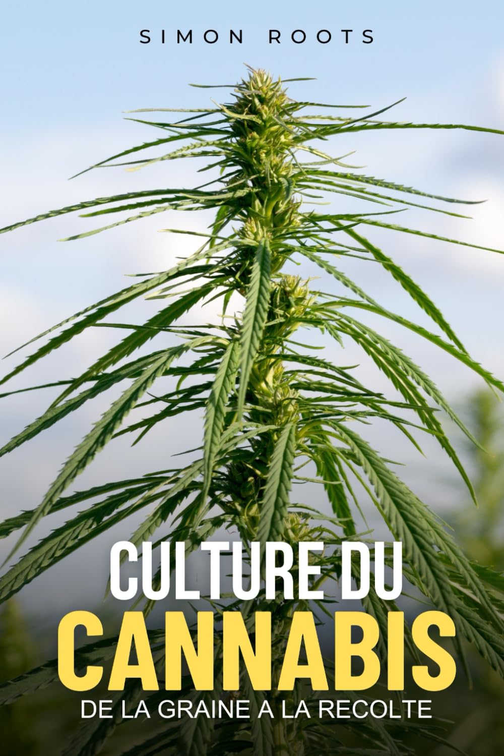 Culture du Cannabis : De la Graine à la Récolte: Tout ce qu'il faut savoir sur le culture du cannabis et cultiver facilement book