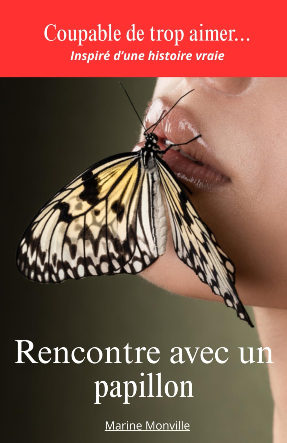 Rencontre avec un papillon: Inspirée de faits réels, une histoire d'amour poignante saluée par la critique française book