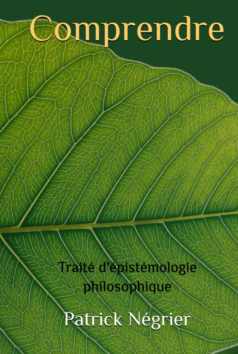 Comprendre: Traité d'épistémologie philosophique book