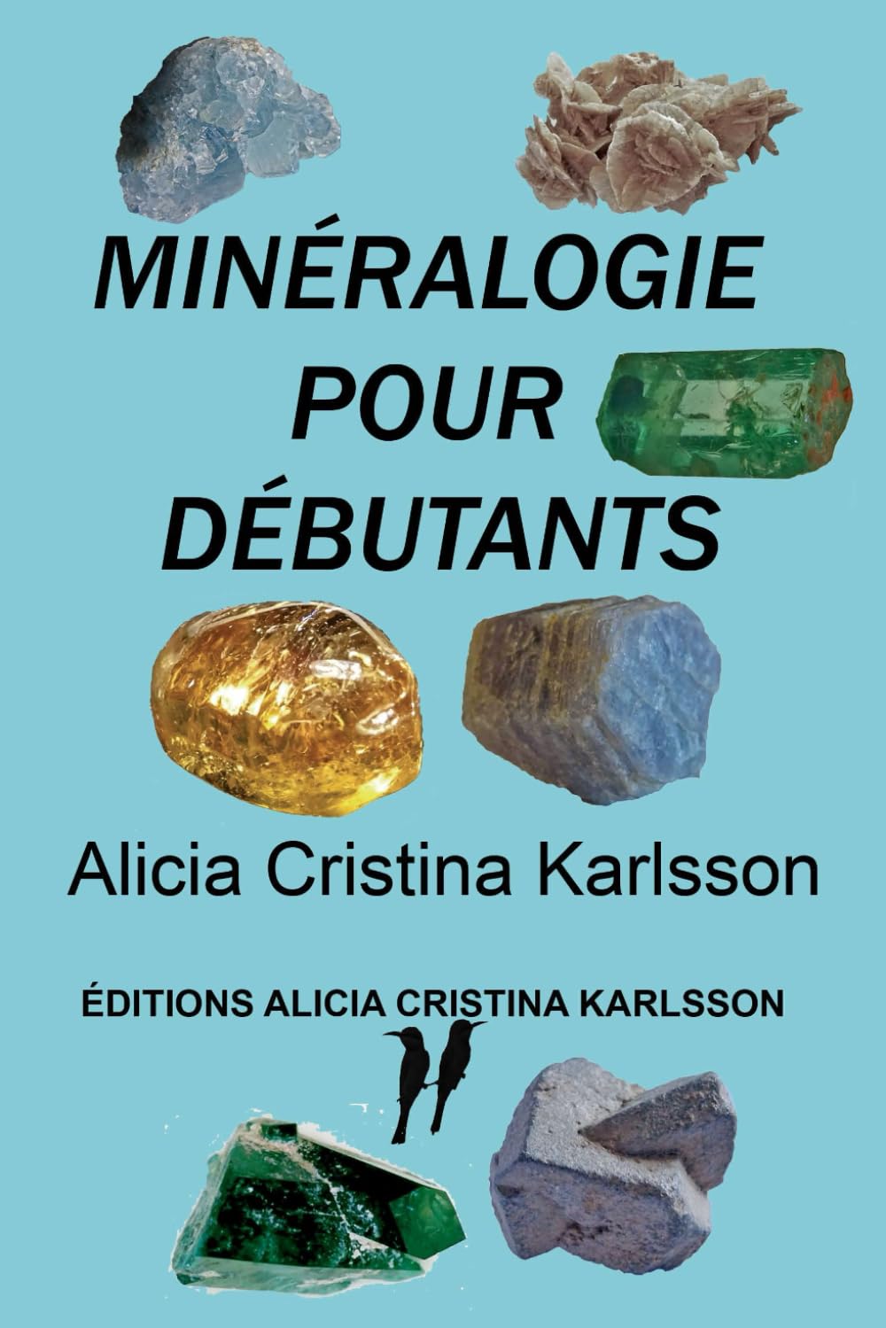 Minéralogie pour débutants book