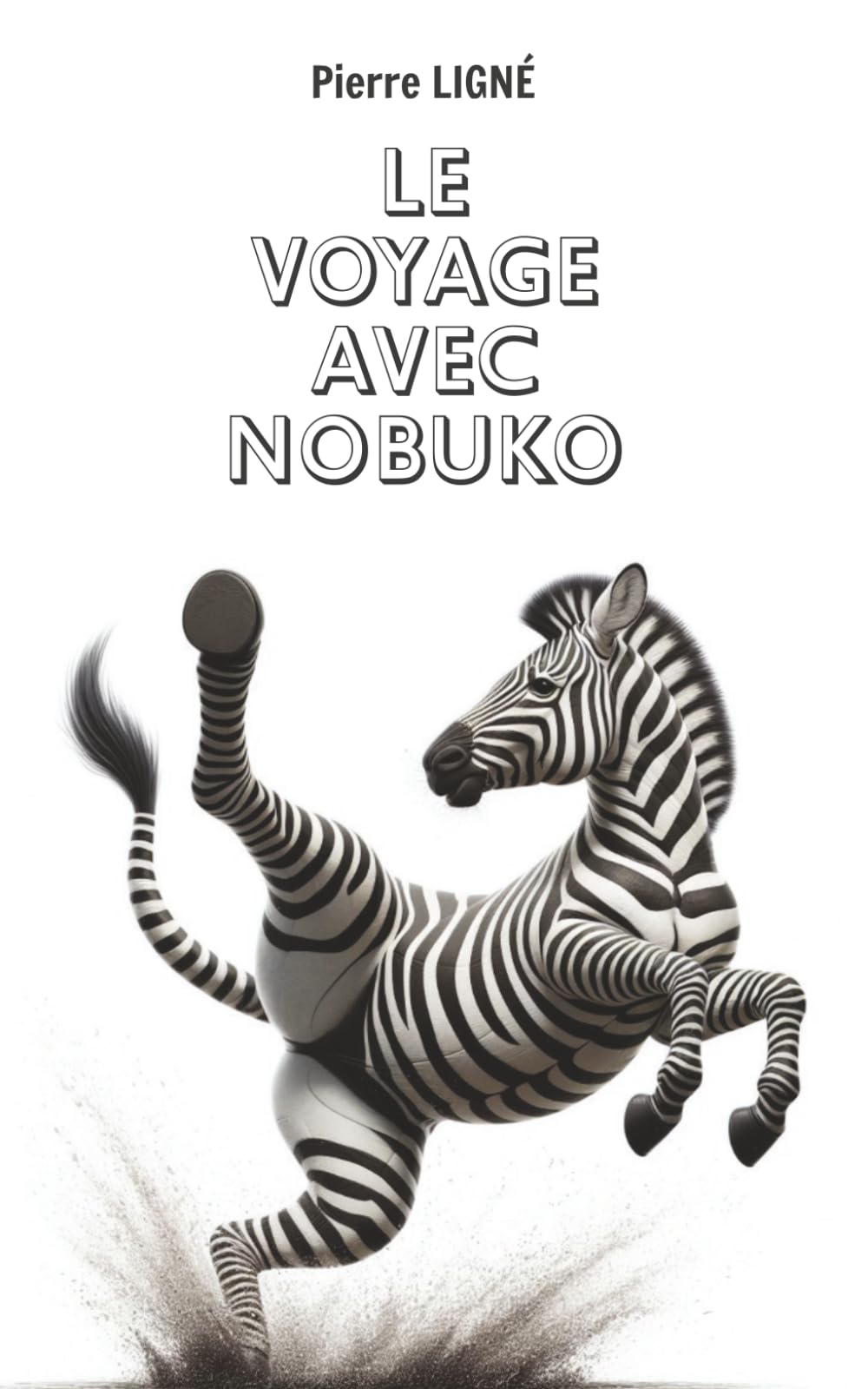 Le Voyage de Nobuko: Récit de voyage en Afrique du Sud, histoire amoureuse de deux personnes qui se rencontrent pour la première fois book