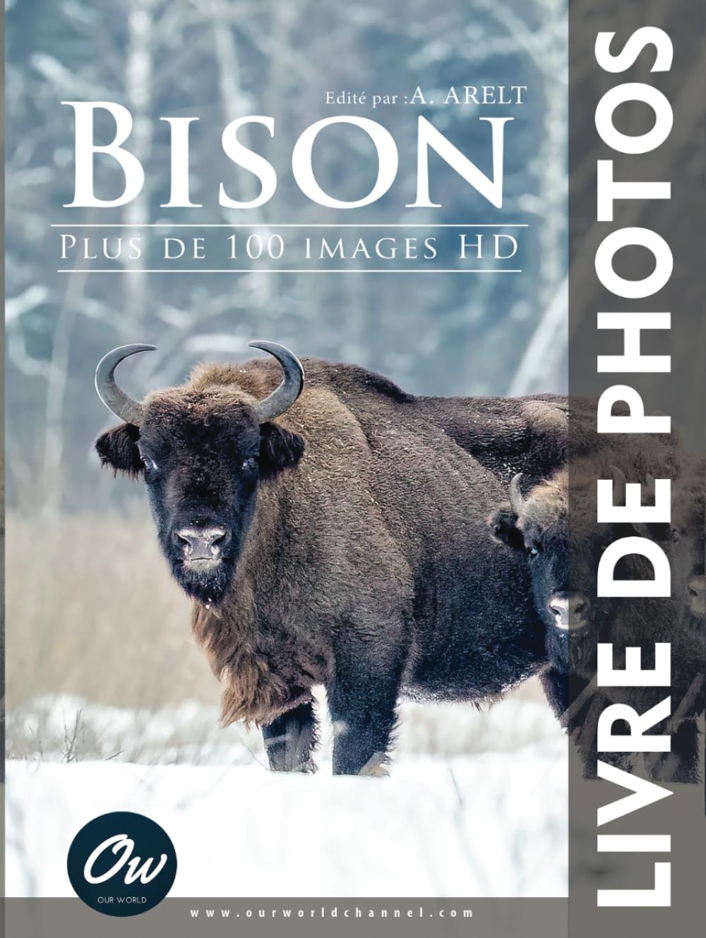 Bison: Livre de Photos - Plus de 100 images HD book
