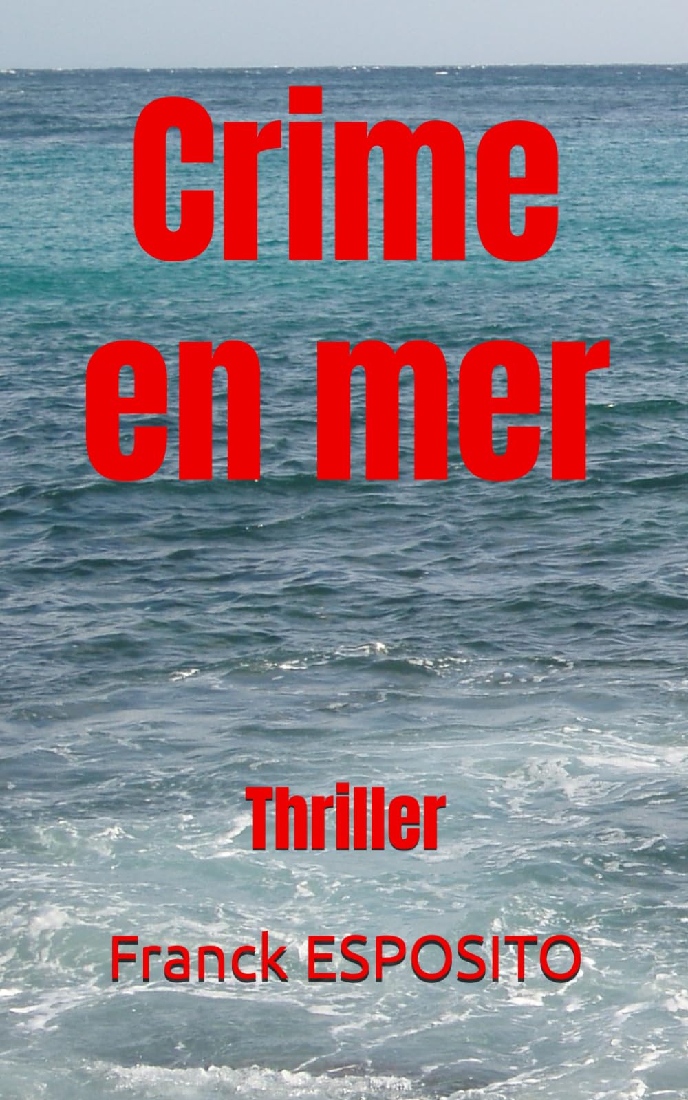 Crime en mer: Thriller book