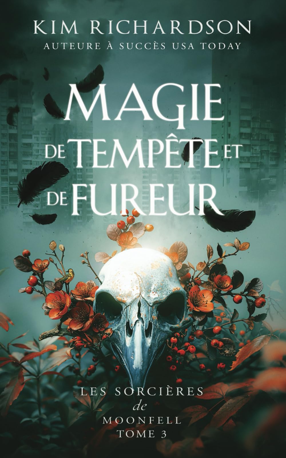 Magie de tempête et de fureur book