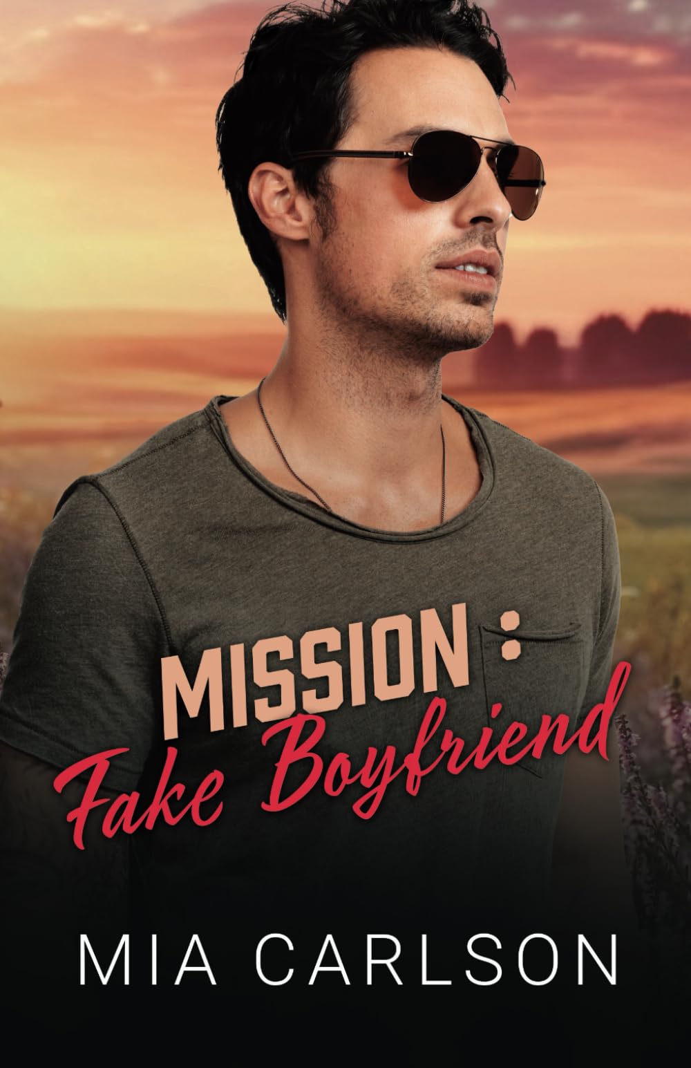 Mission : Fake Boyfriend book