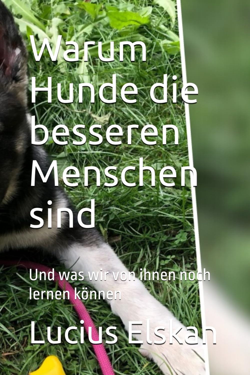 Warum Hunde die besseren Menschen sind: Und was wir von ihnen noch lernen können Psychology