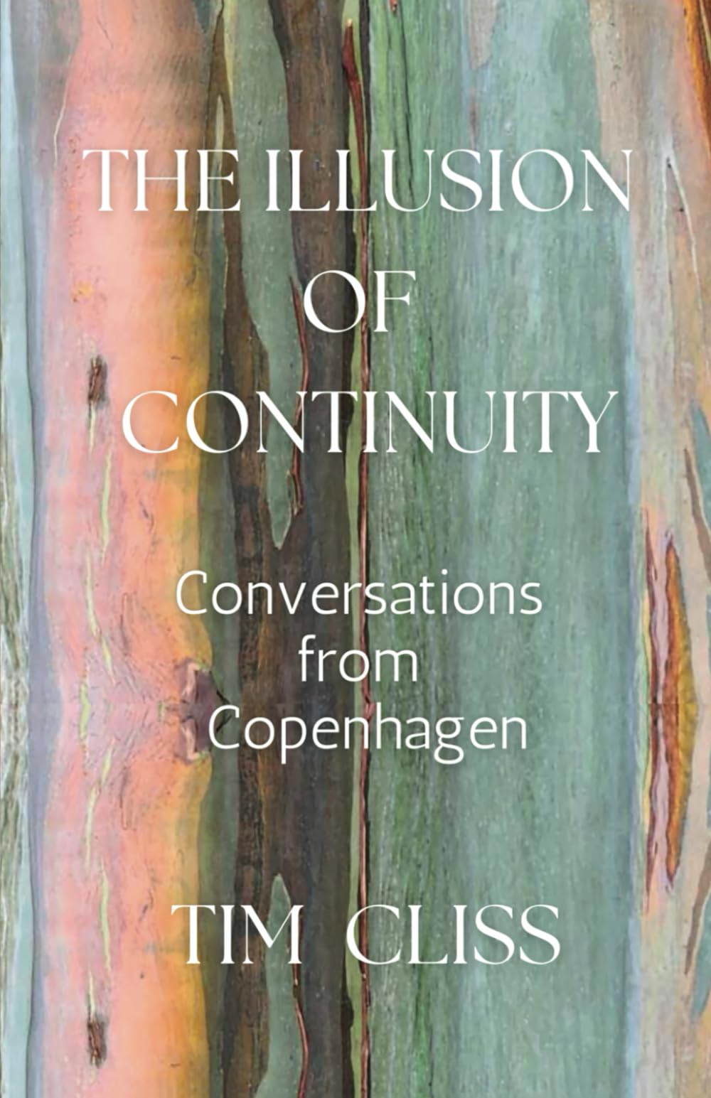 The Illusion of Continuity: Conversations From Copenhagen Books