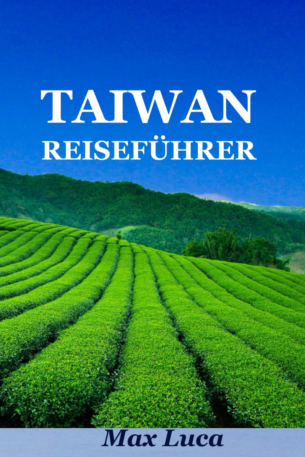 Taiwan Reiseführer: Entdecken Sie Taiwan, eine Reise durch Kultur, Küche und Naturwunder 2025 Travel Guides