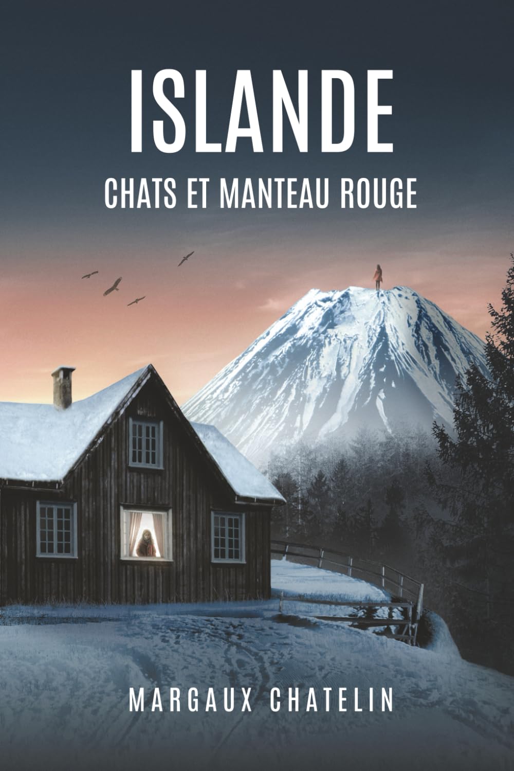 Islande, chats et manteau rouge book