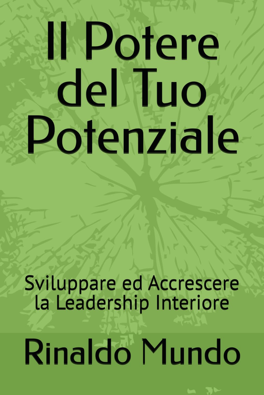 Il Potere del Tuo Potenziale: Sviluppare ed Accrescere la Leadership Interiore book
