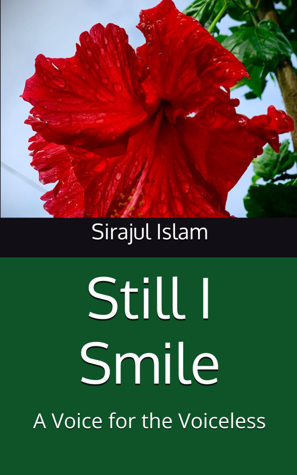 Still I Smile: A Voice for the Voiceless book
