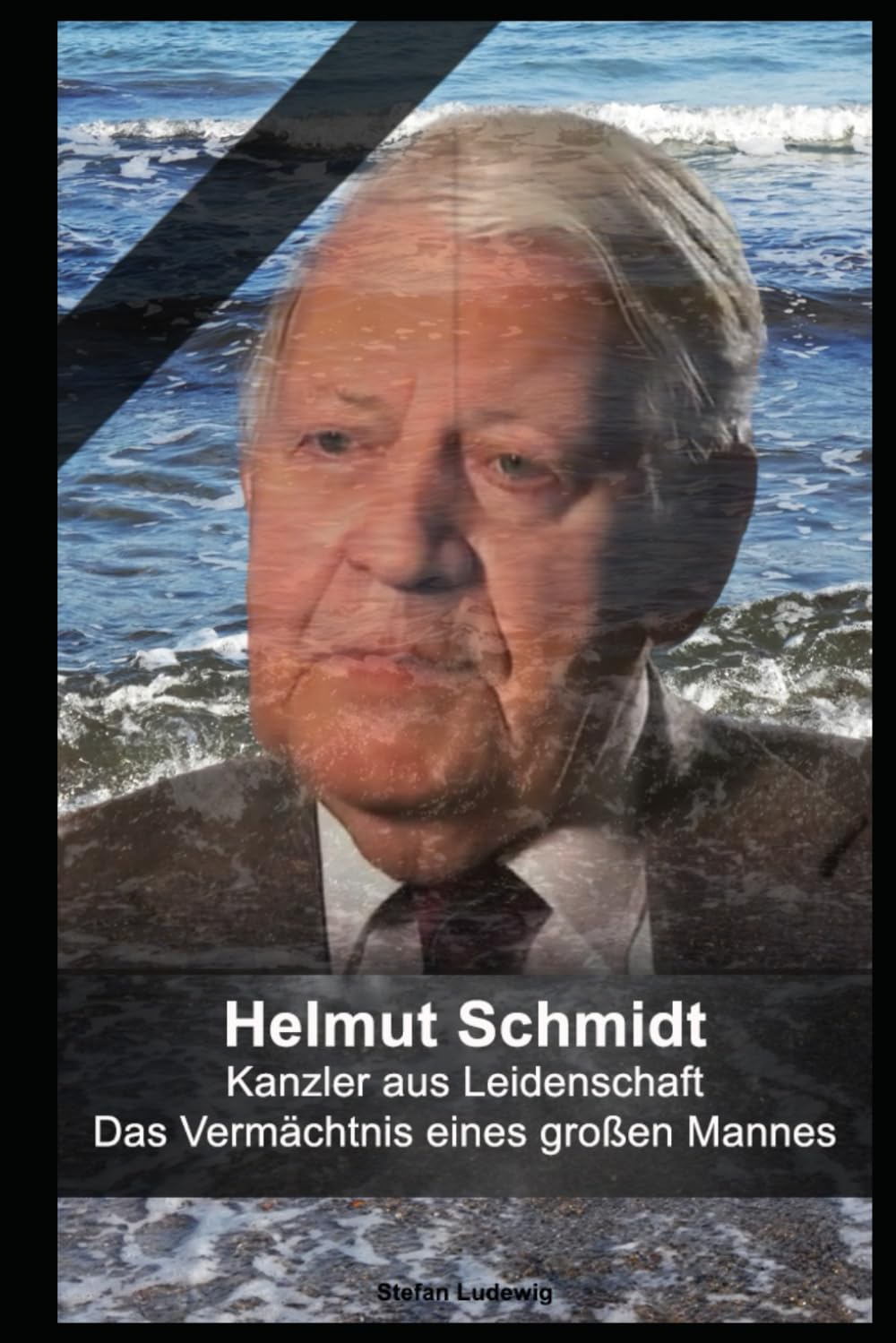 Helmut Schmidt I Kanzler aus Leidenschaft I Das Vermächtnis eines großen Mannes: Führungsstärke in der Krise: Helmut Schmidts Beitrag zur deutschen Geschichte Art & Literature Books