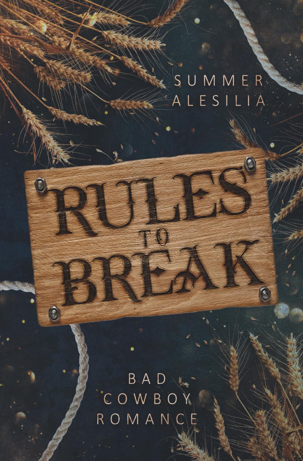 RULES TO BREAK: Bad Cowboy Romance Contemporary literature