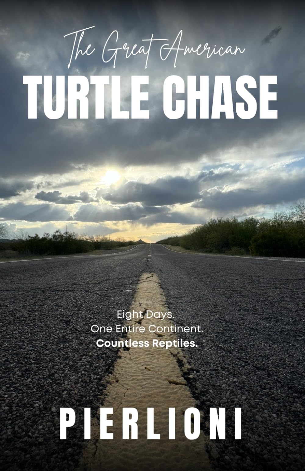The Great American Turtle Chase: Eight Days. One Entire Continent. Countless Reptiles. book