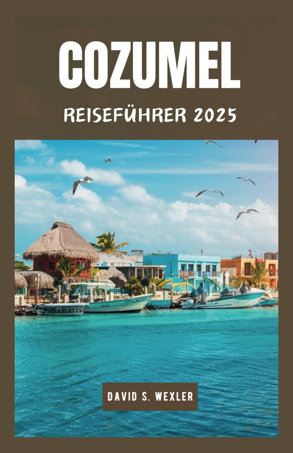 COZUMEL REISEFÜHRER 2025: Entdecken Sie Mexikos beliebtestes Inselziel, seine Top-Attraktionen und seine Kultur book
