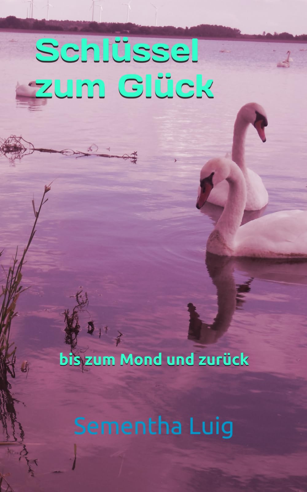 Schlüssel zum Glück: bis zum Mond und zurück Books