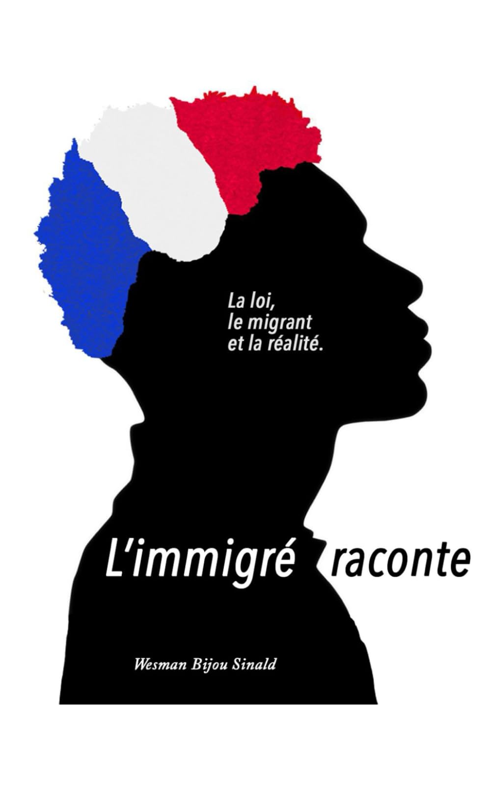 L'immigré raconte: La loi , le migrant , et la réalité book