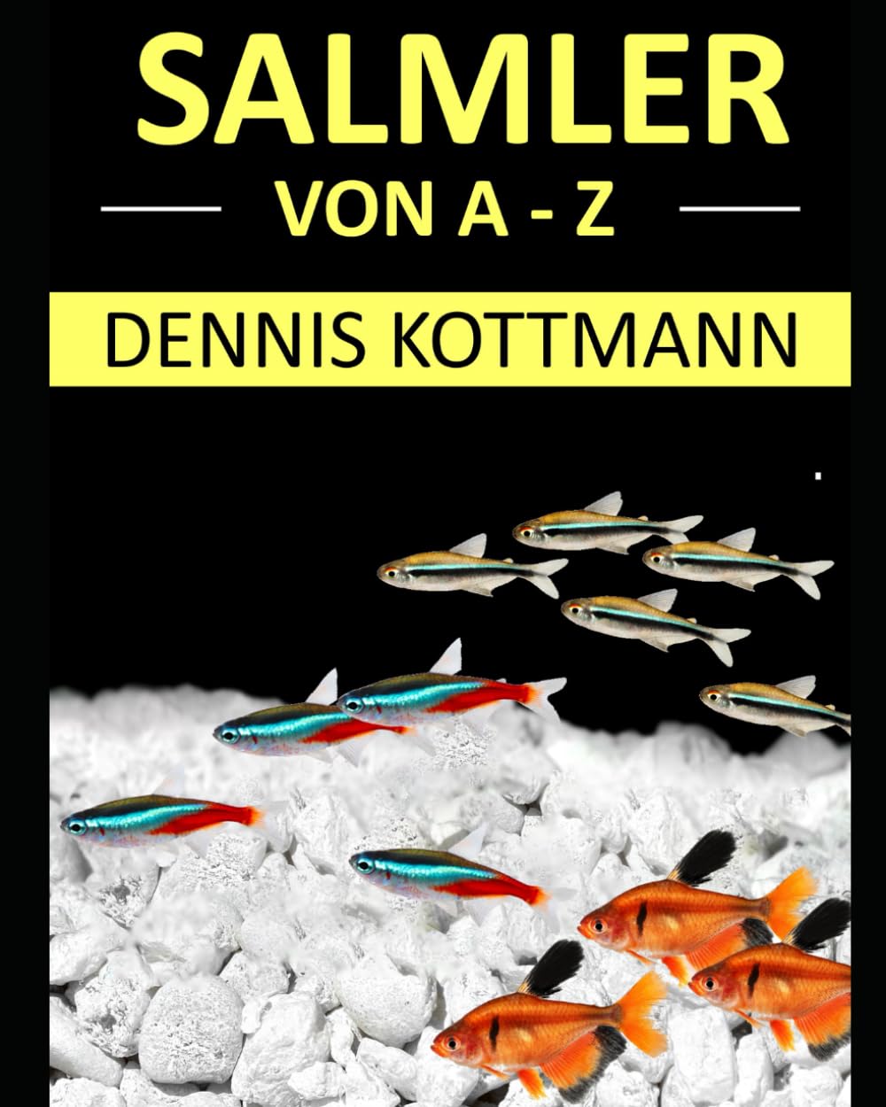 Salmler von A-Z: Alles rund um Salmler im Aquarium Pets