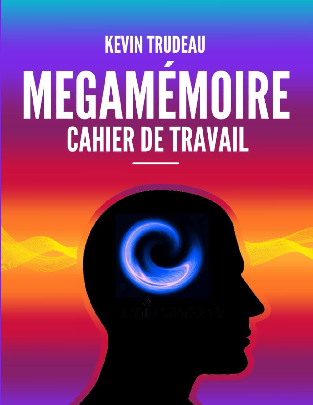 CAHIER D'EXERCICES MÉGAMÉMOIRE: Comment développer une mémoire photographique en 30 minutes ou moins par jour book