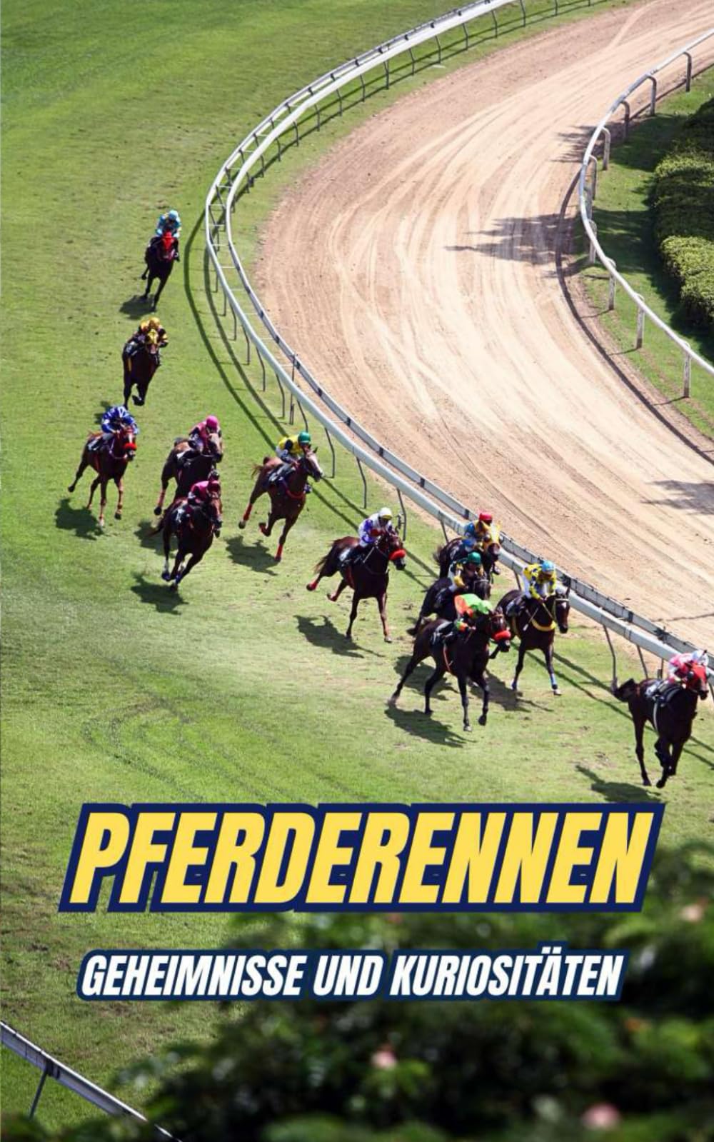 Pferderennen : Geheimnisse und Kuriositäten Pets