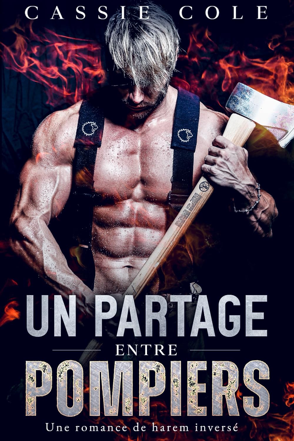 Un partage entre pompiers: Une romance de harem inversé book