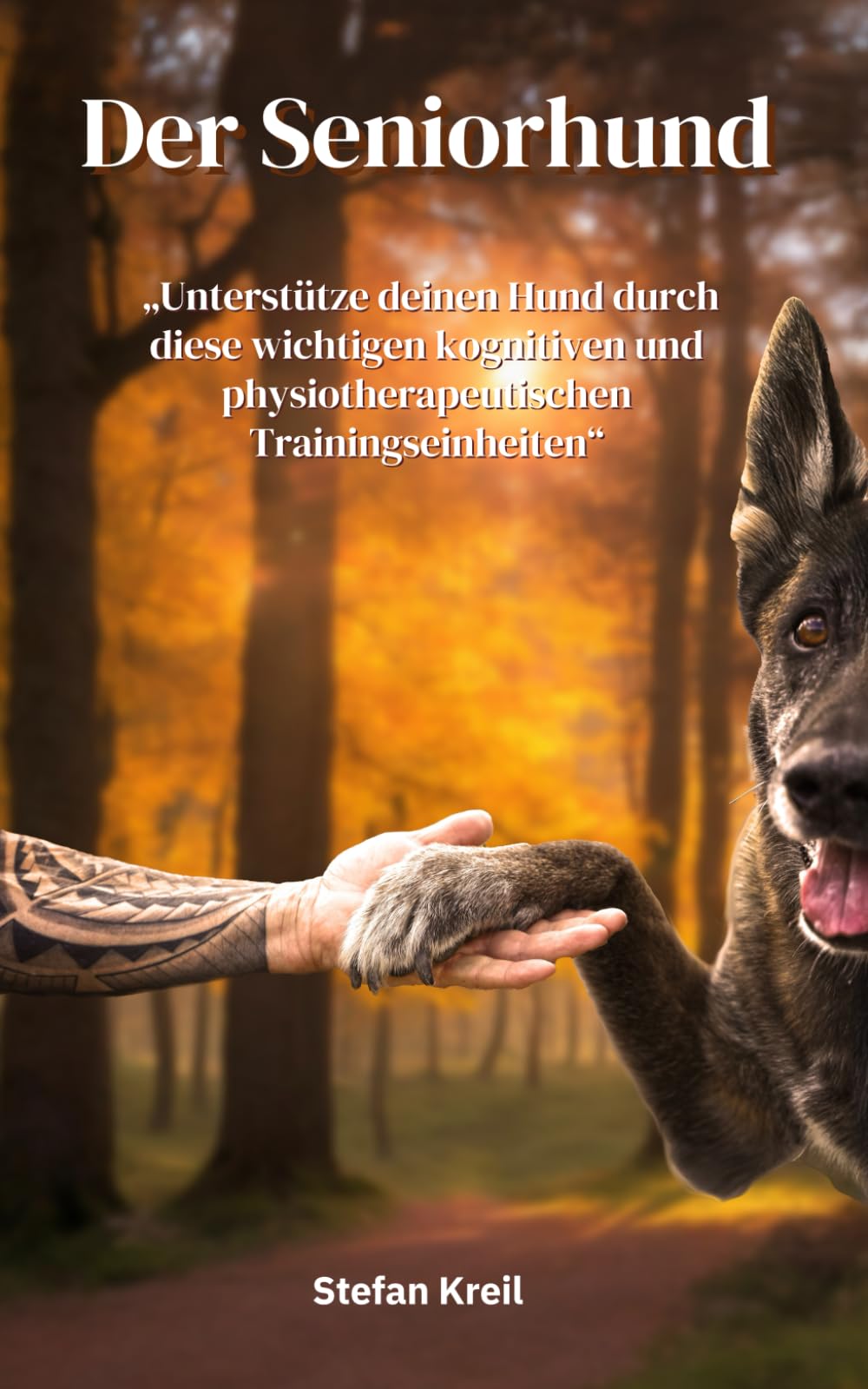 Der Seniorhund: „Unterstütze deinen Hund durch diese wichtigen kognitiven und physiotherapeutischen Trainingseinheiten“ book