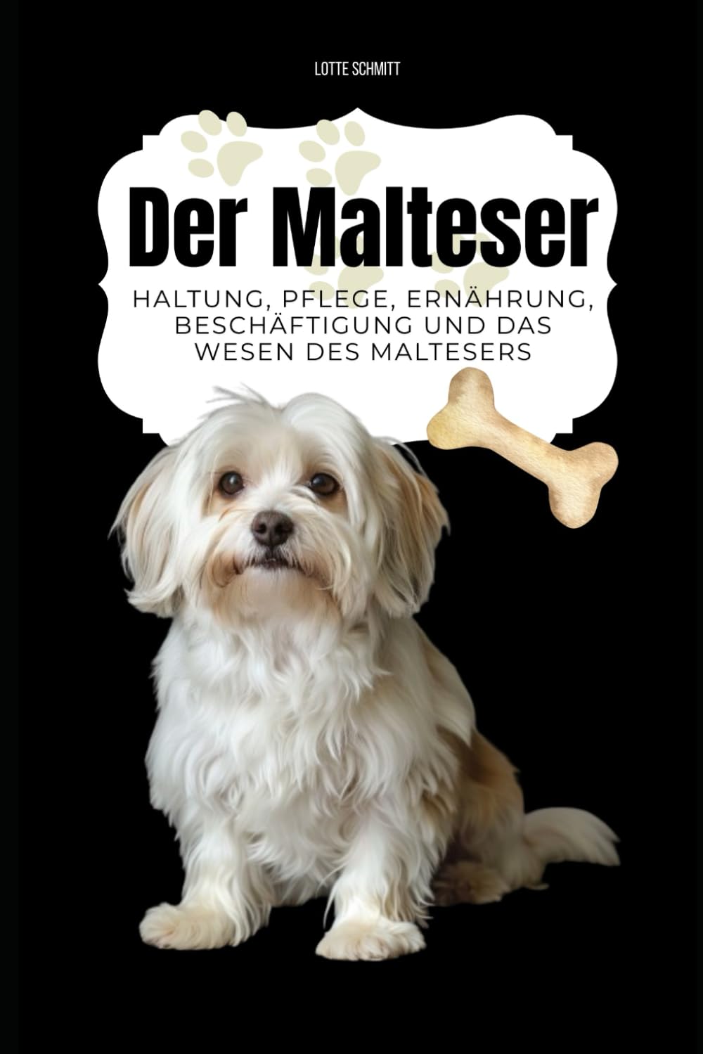 Malteser: Haltung, Pflege, Ernährung, Beschäftigung und das Wesen des Maltesers Pets