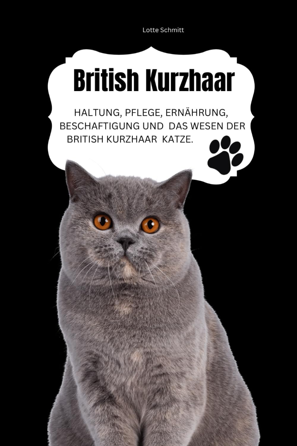 British Kurzhaar: Haltung, Pflege, Ernährung, Beschäftigung und das Wesen der British Kurzhaar Katze Pets