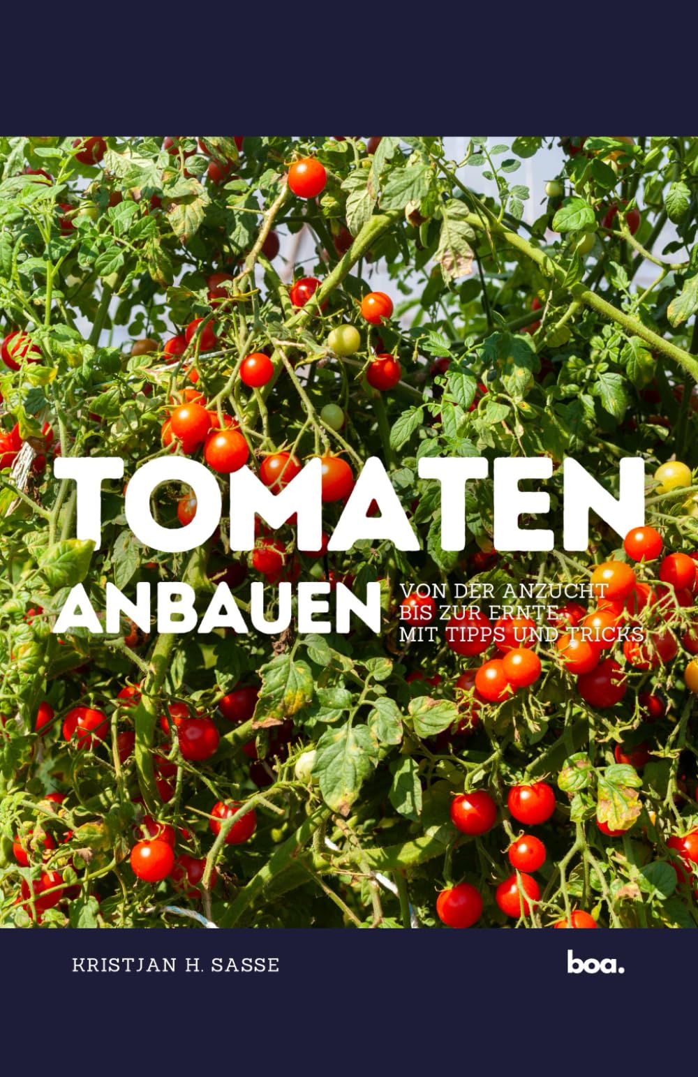Tomaten anbauen: Von der Anzucht bis zur Ernte. Mit Tipps und Tricks. Garden & Plants